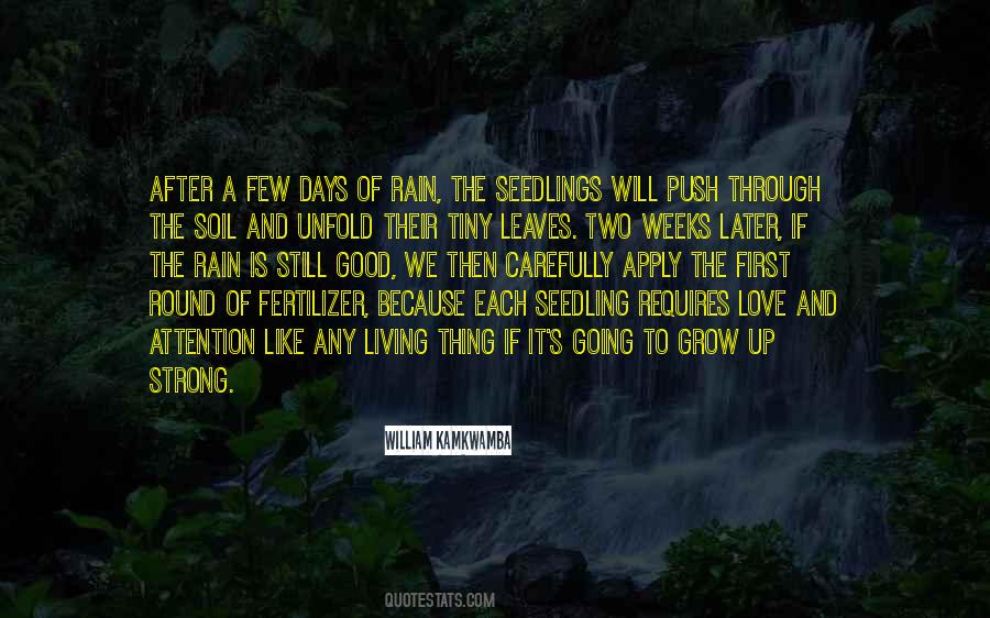 First Rain Quotes #1696908