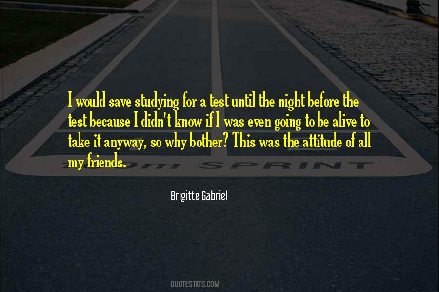 Why I Even Bother Quotes #1486801