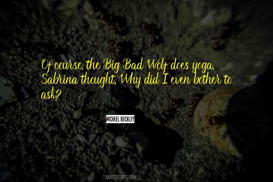 Why I Even Bother Quotes #1653717