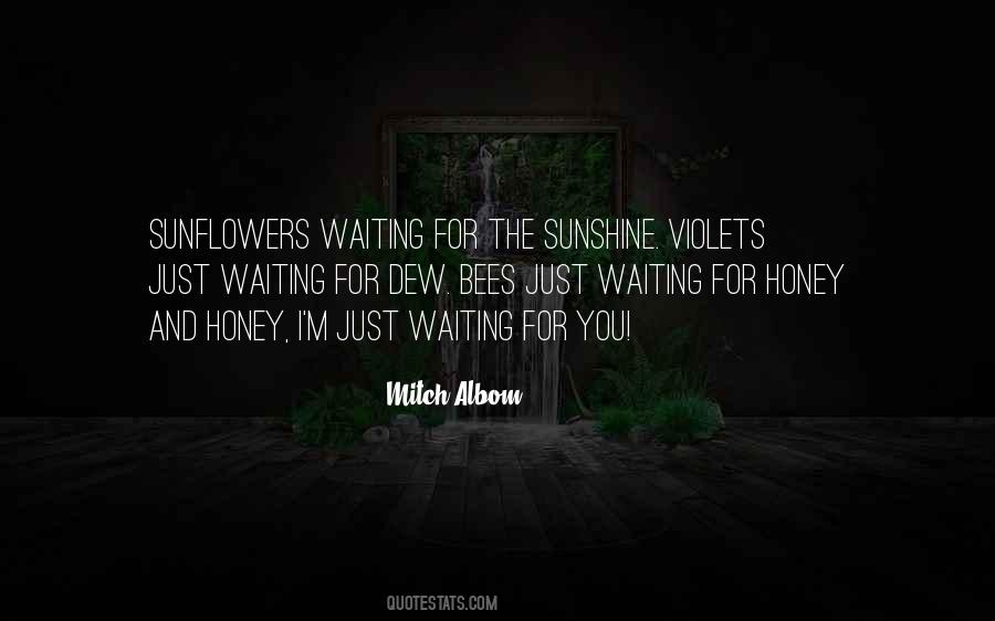 Get More Bees With Honey Quotes #289969