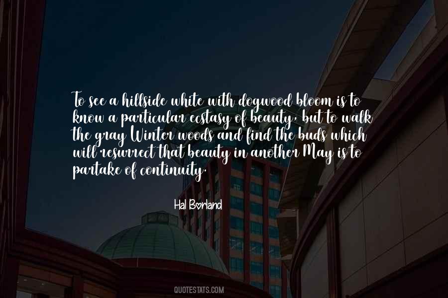 Beauty Bloom Quotes #53331