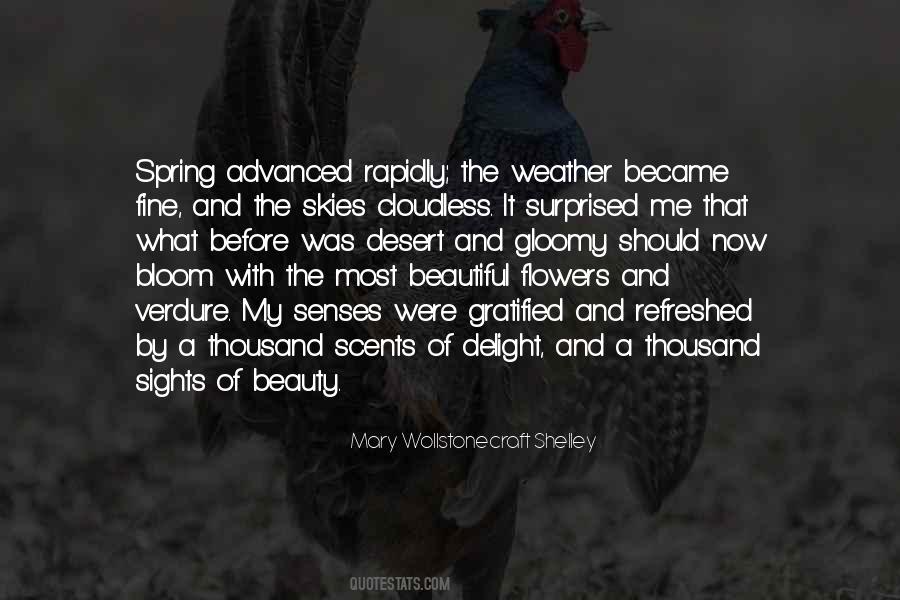 Beauty Bloom Quotes #692339