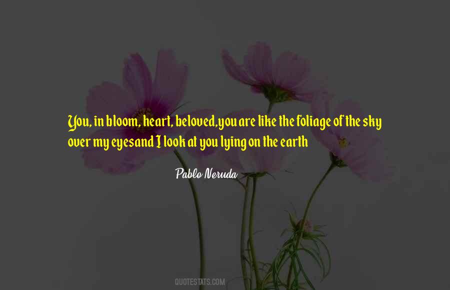 Beauty Bloom Quotes #823616