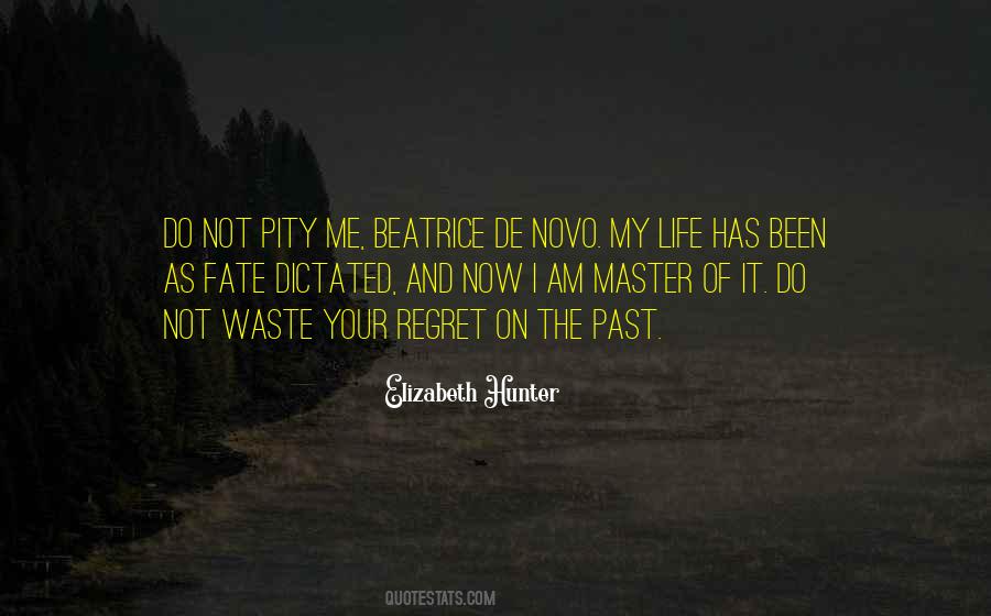 I Am Not My Past Quotes #1141636