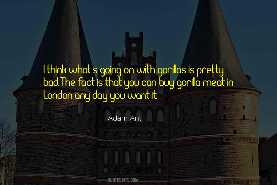 You Can Think What You Want Quotes #1399078