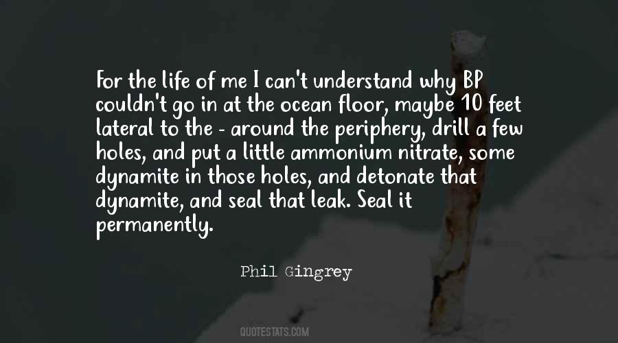 Why I Put Quotes #382042