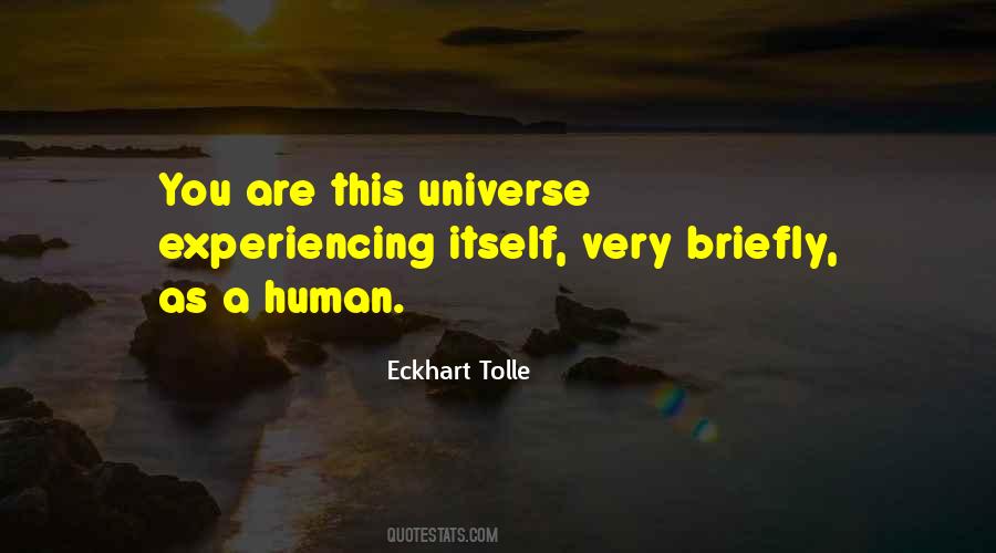 You Are The Universe Experiencing Itself Quotes #1102279