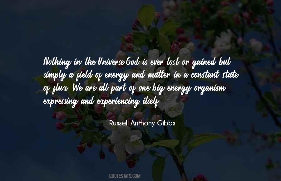 You Are The Universe Experiencing Itself Quotes #1496542