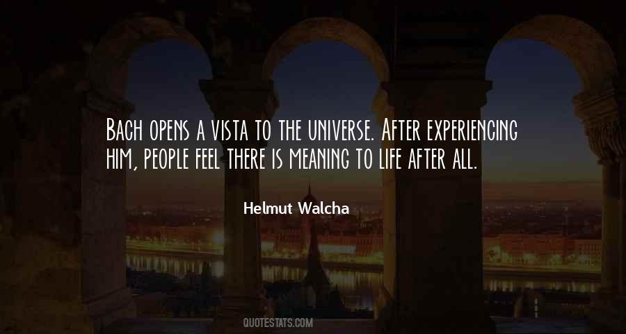 You Are The Universe Experiencing Itself Quotes #767782