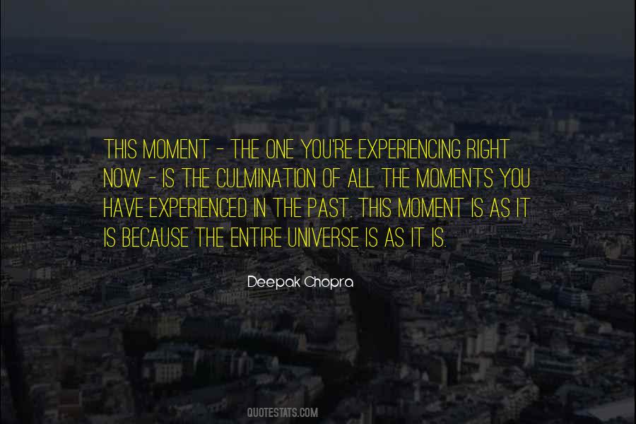 You Are The Universe Experiencing Itself Quotes #816279