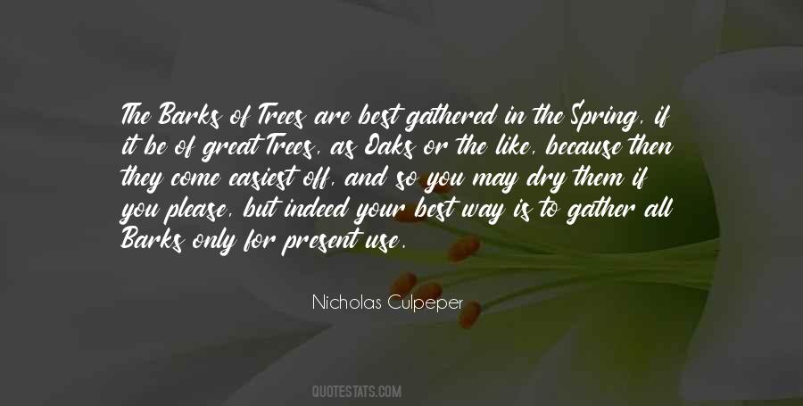 Be The Best Of You Quotes #568623