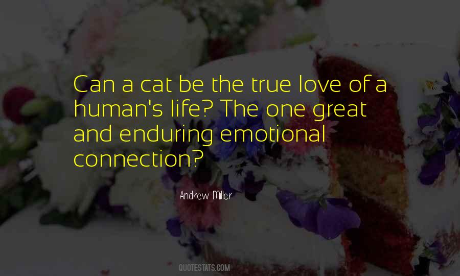 The Love Of A Cat Quotes #556801