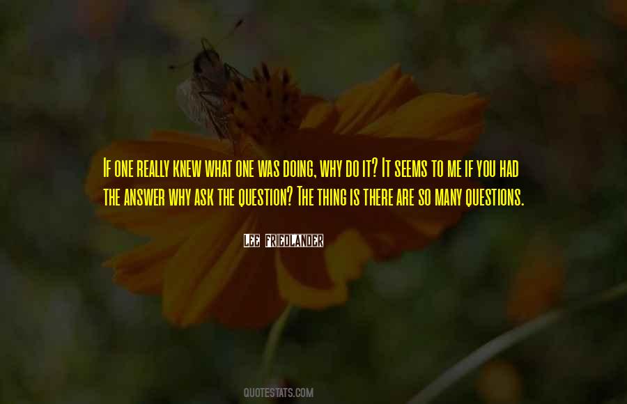 Why Do You Do What You Do Quotes #984685