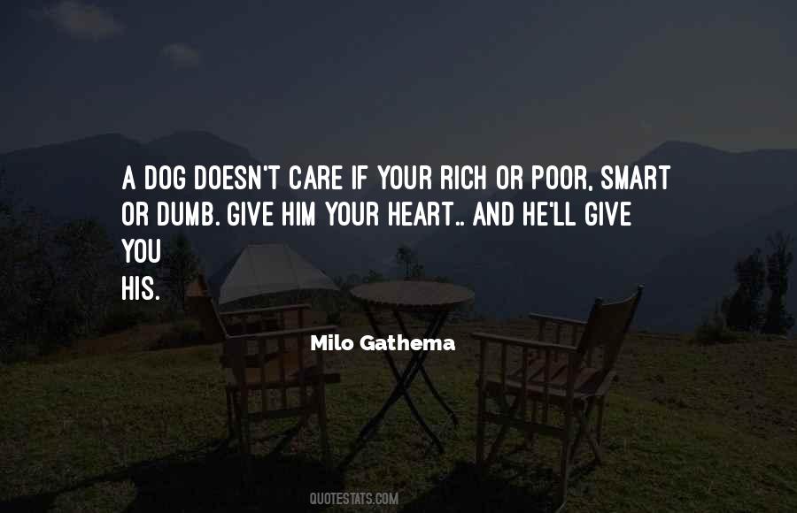 Poor Dog Quotes #157344