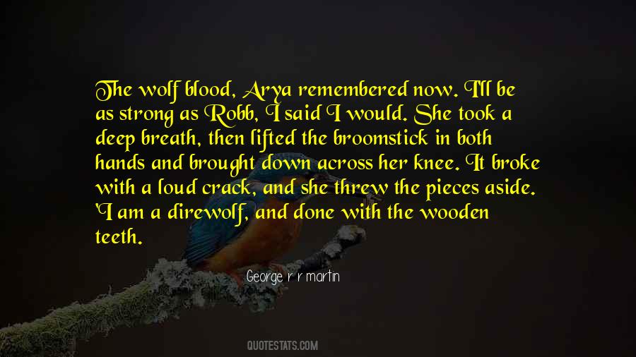 I Am Done Now Quotes #1073874