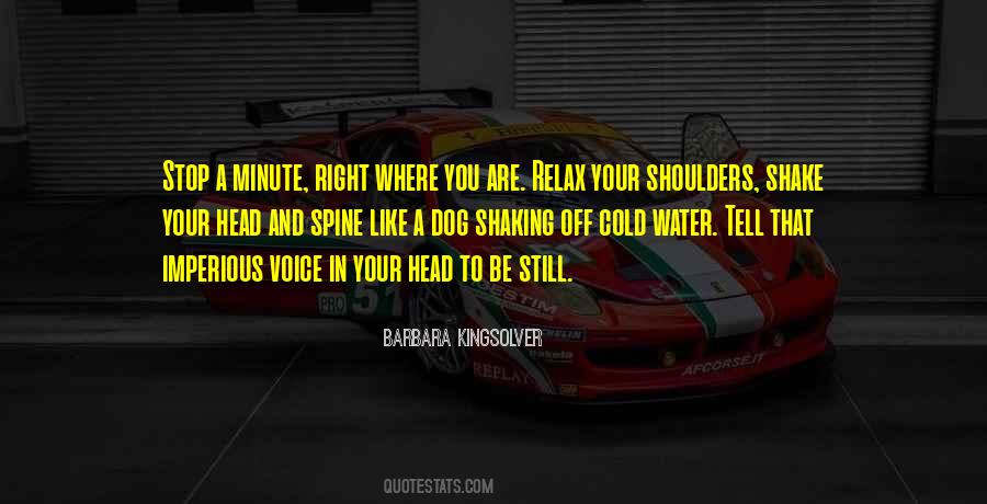 Relax Your Shoulders Quotes #705902