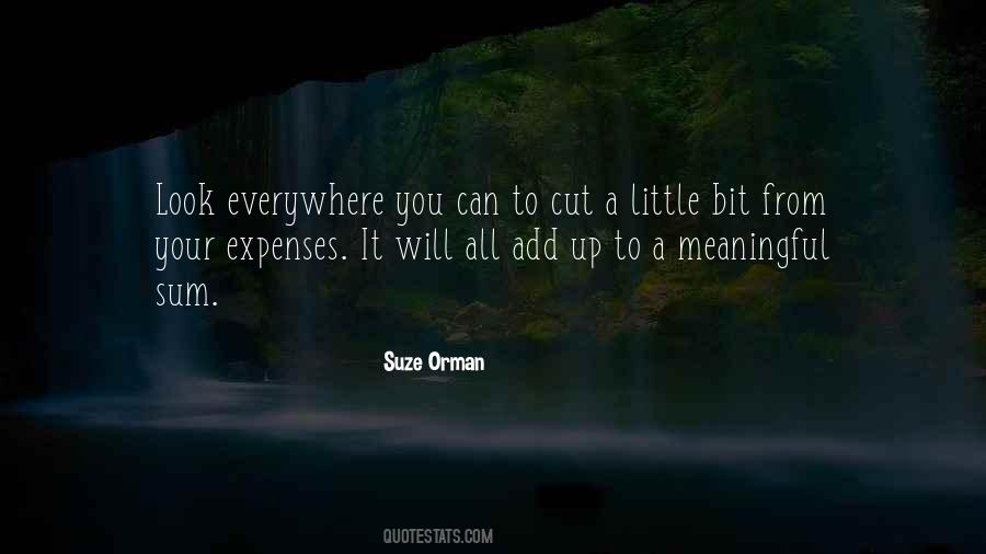 Sum It Up Quotes #1552789