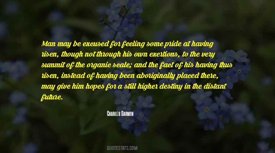 Quotes About Not Having A Man #645125