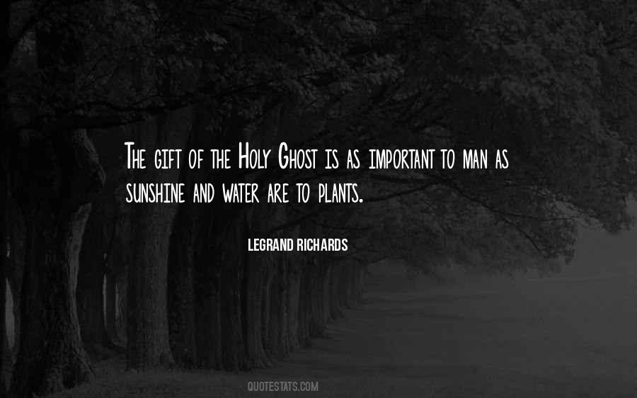 Plants Sunshine Quotes #725510