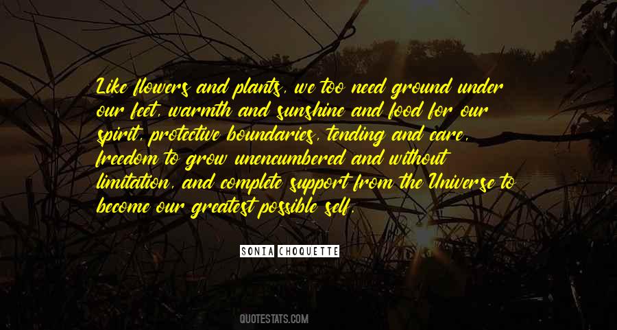 Plants Sunshine Quotes #994443