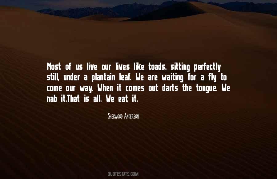 Shadow Picture Quotes #616009