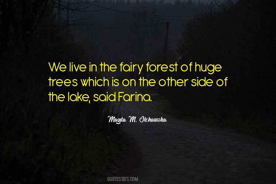 Quotes About The Fairies #124320