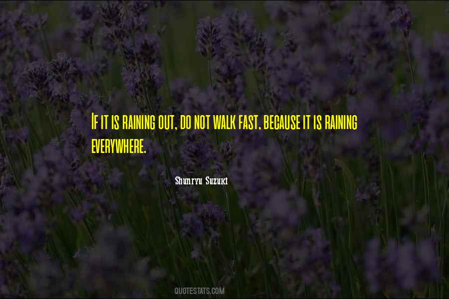 Walks In The Rain Quotes #1856664