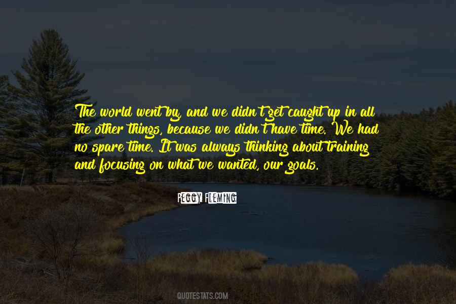 Focusing On My Goals Quotes #1754720