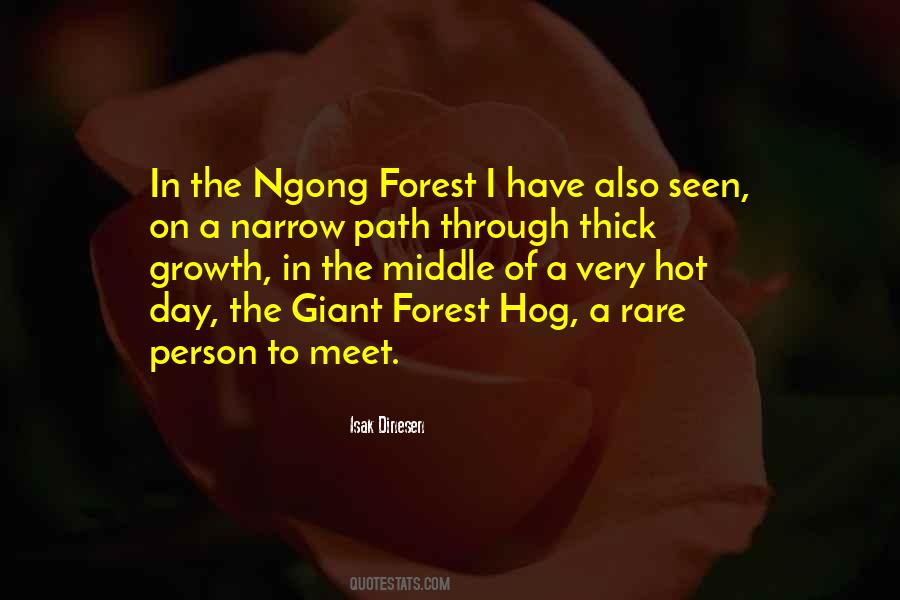 A Rare Person Quotes #865437