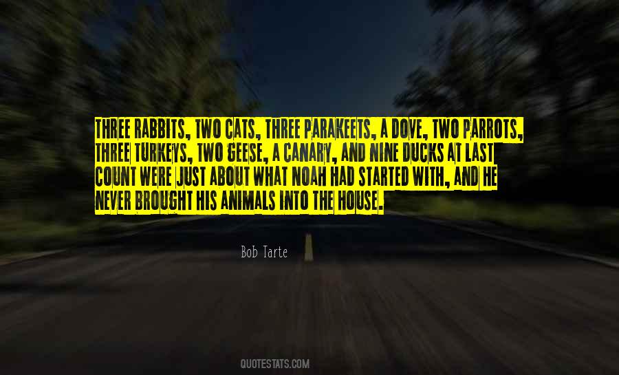 The Rabbits Quotes #1216907