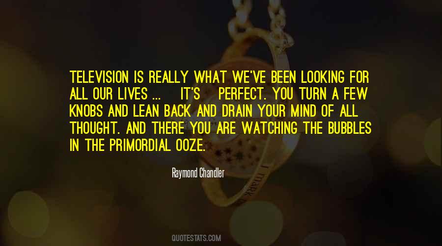 We Are Perfect Quotes #1002692
