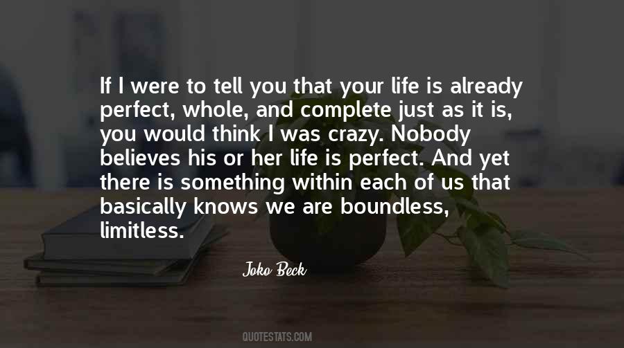 We Are Perfect Quotes #1308143