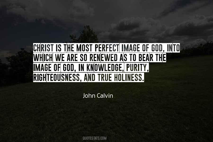 We Are Perfect Quotes #718775