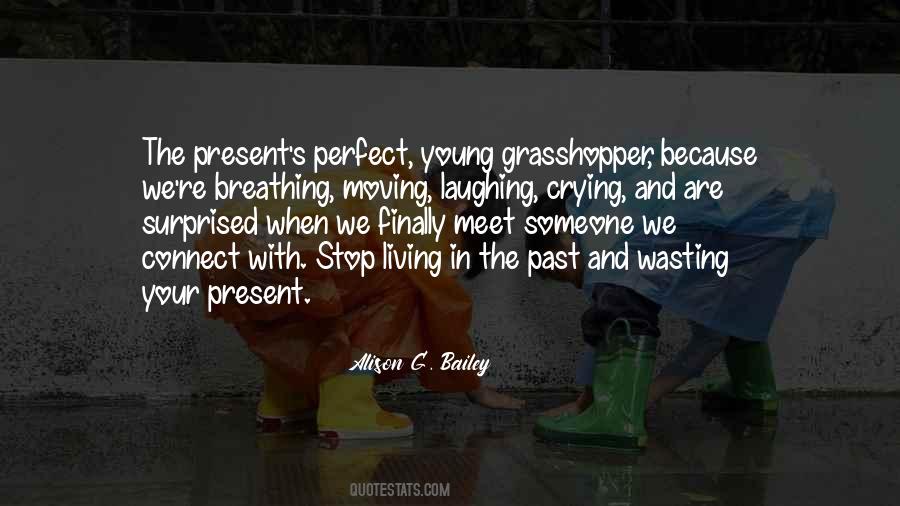 We Are Perfect Quotes #790449