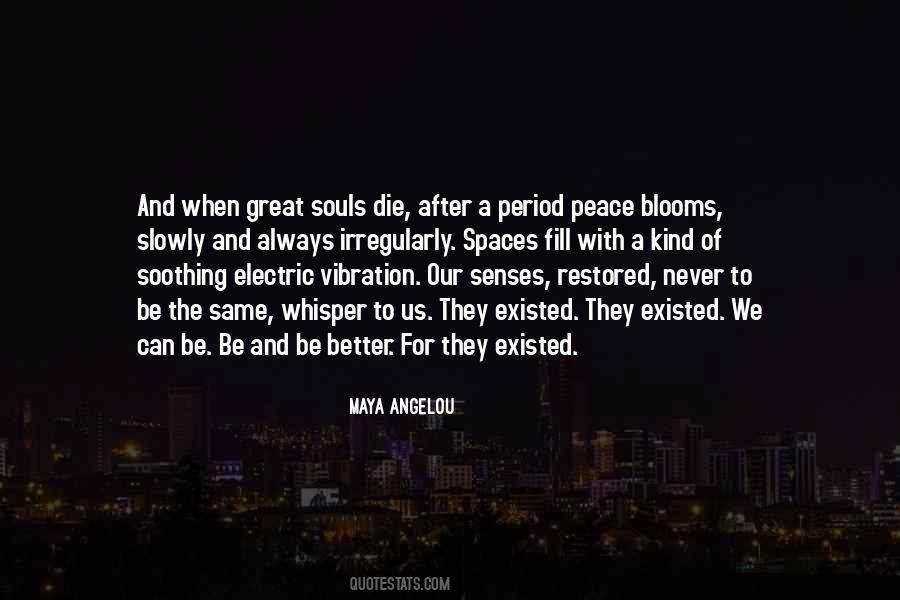 After We Die Quotes #425424