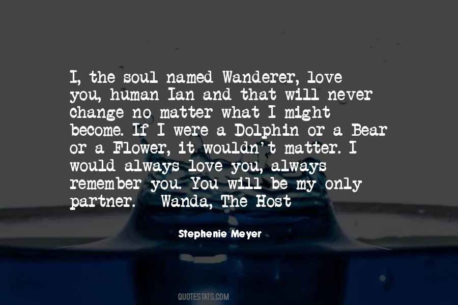 Wanderer Love Quotes #1792140