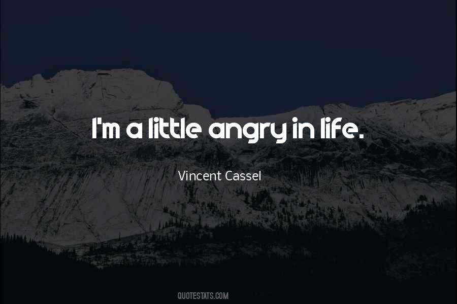 Angry Life Quotes #1080005