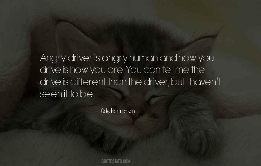 Angry Life Quotes #224189
