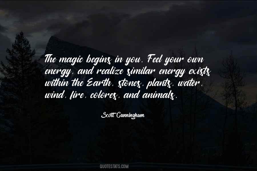Magic Within You Quotes #496461