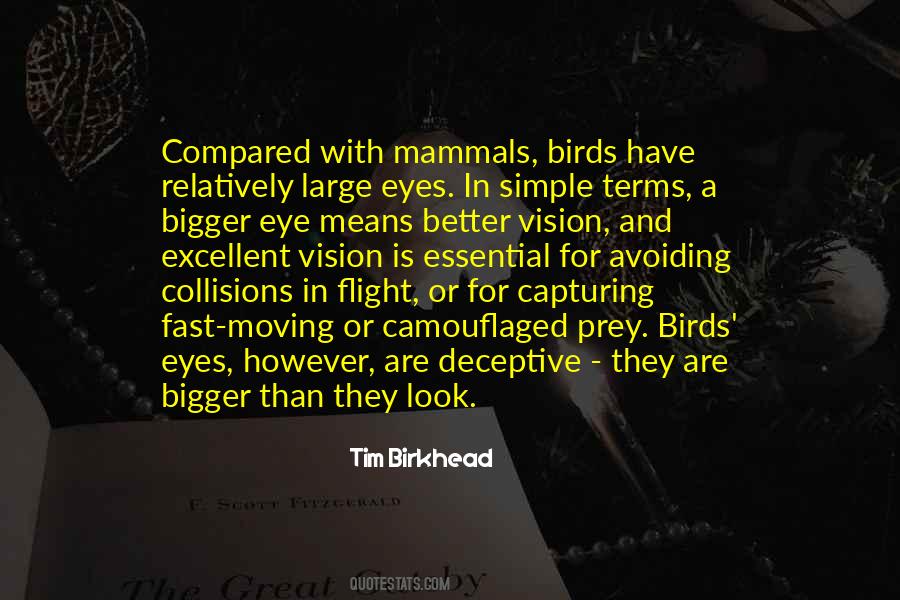 Simple Eye Quotes #890226