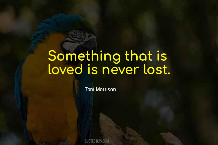 Is Never Lost Quotes #35515