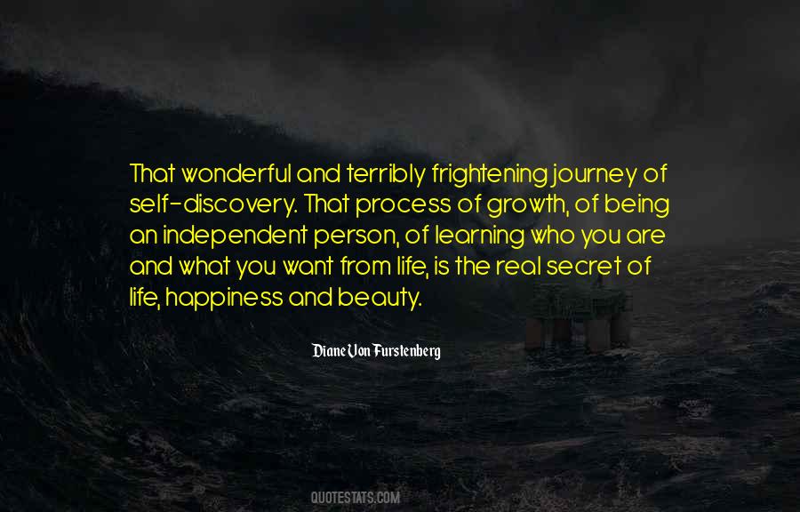 Happiness Journey Quotes #1370140