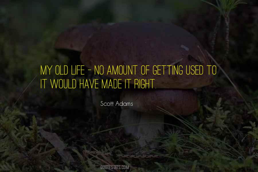 Quotes About Getting Used To It #838661