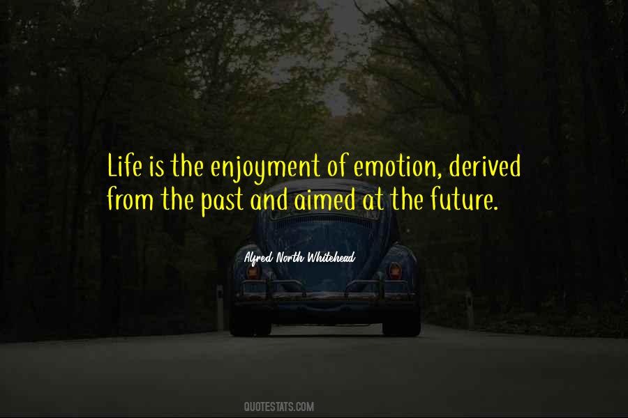 Enjoyment Life Quotes #198548