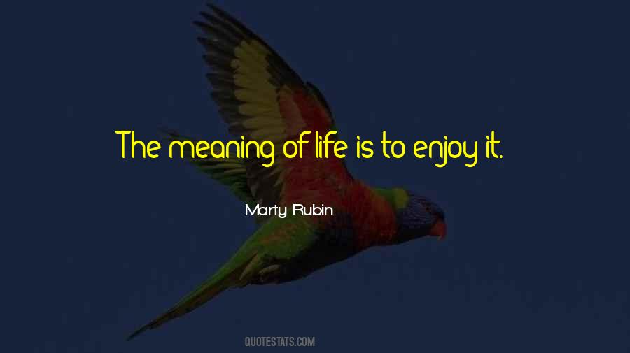 Enjoyment Life Quotes #558050