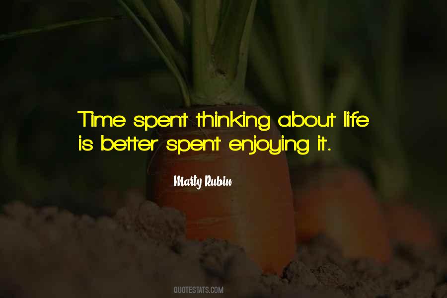 Enjoyment Life Quotes #712854