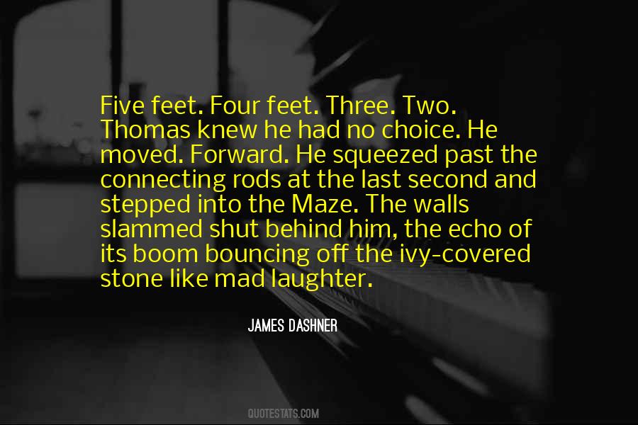 The Maze Quotes #1753390