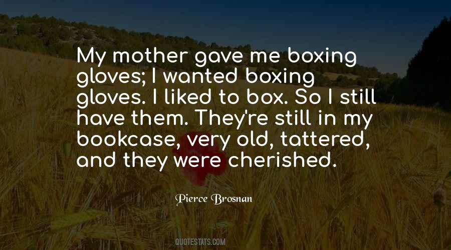 My Old Mother Quotes #700895