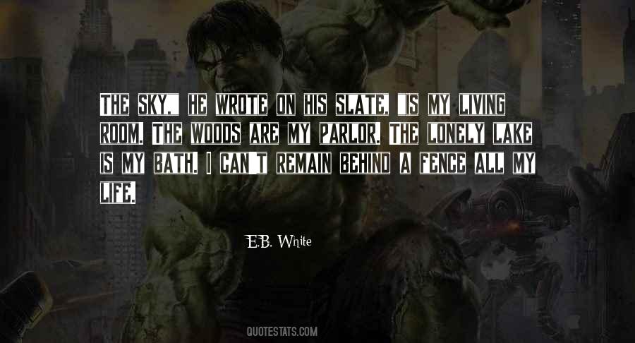 Living A Lonely Life Quotes #190388