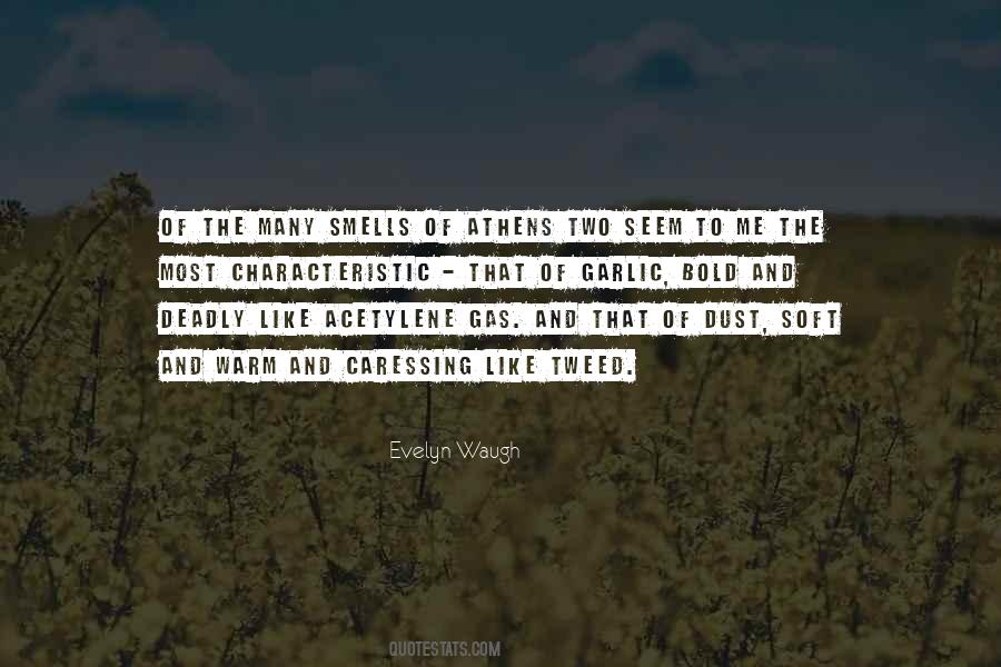 Soft Warm Quotes #1109942